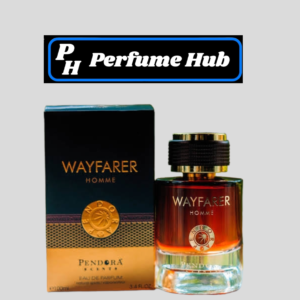 Wayfarer Homme